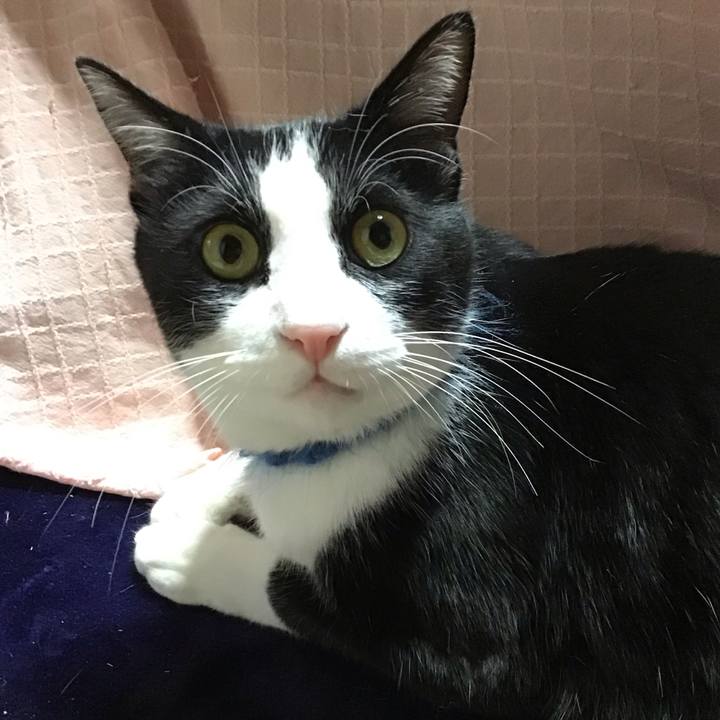 91712778 6ae4 4126 a591 1af470caebab 1705575532787