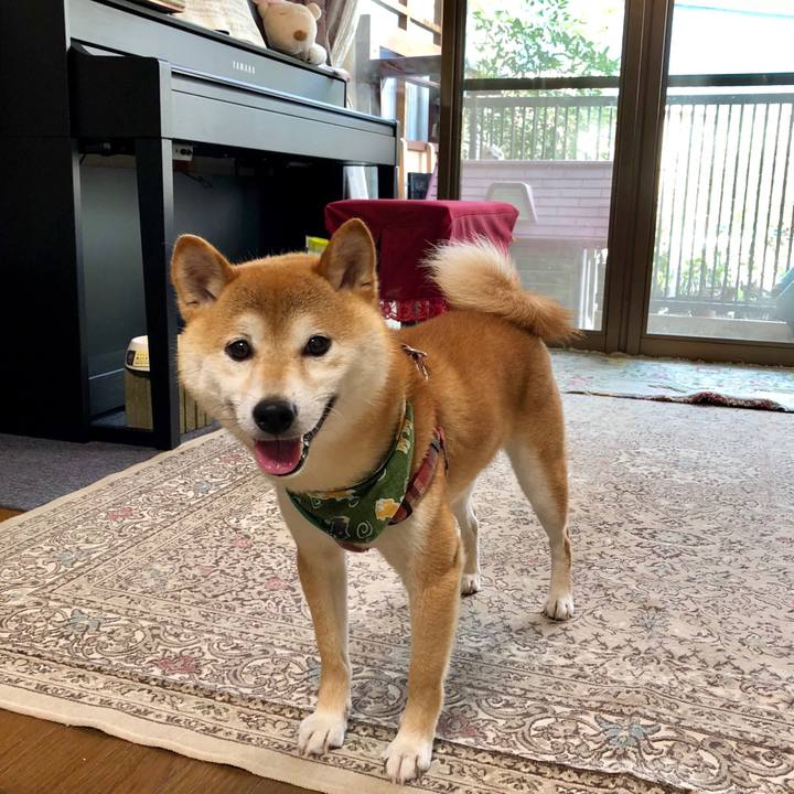 917158ca bf45 45cc 9af0 da2c7b4ad720 1531558637060