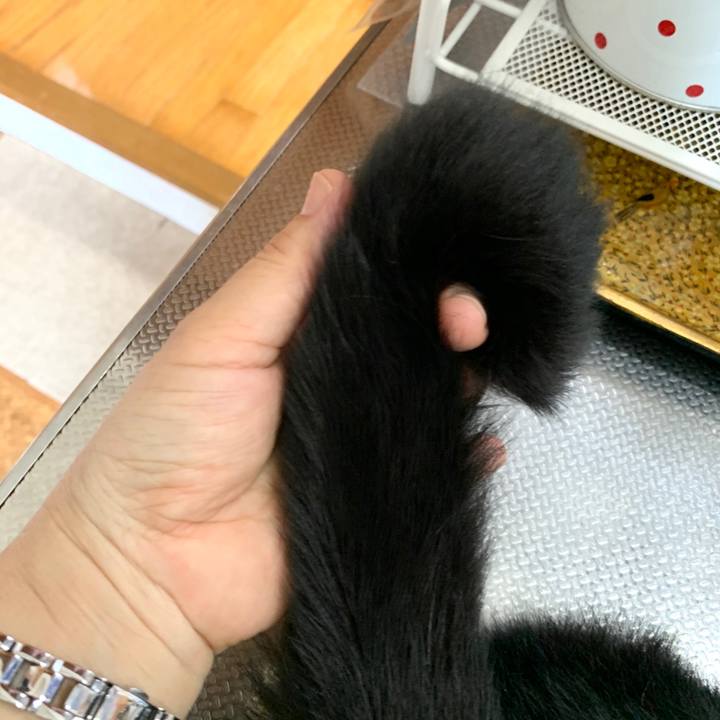 917189bc 8724 4601 a4be 5d6bd1f805ec 1595560314350