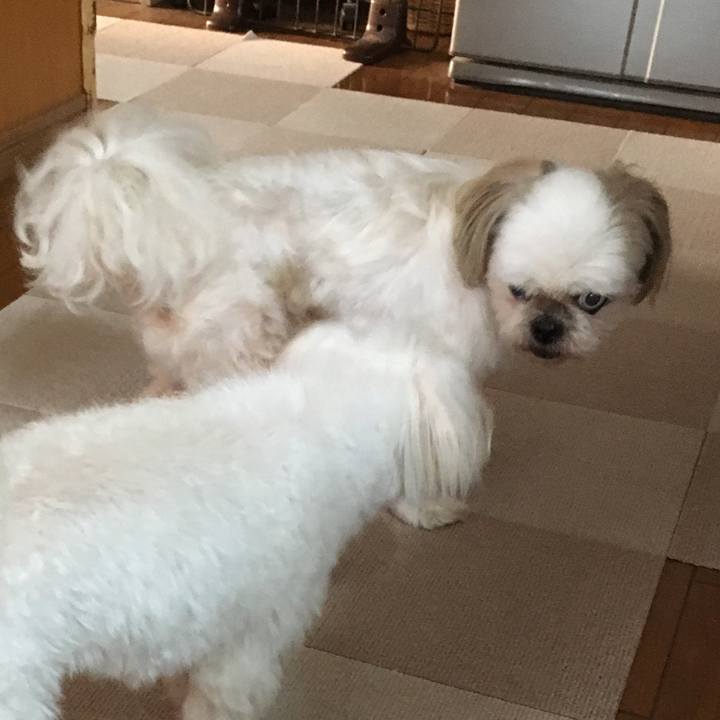 9171cba9 459e 4f58 a446 ca48eb9afe0c 1631347017632