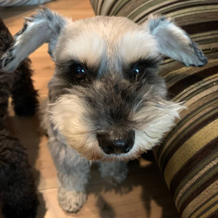 9171ebfd 464a 40be 957c cc719892a432 1624145763759