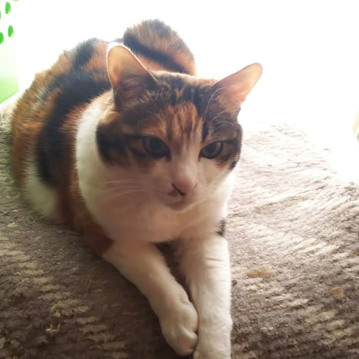 9171f167 ac99 48ef aecb bd97716dac67 1586987433815