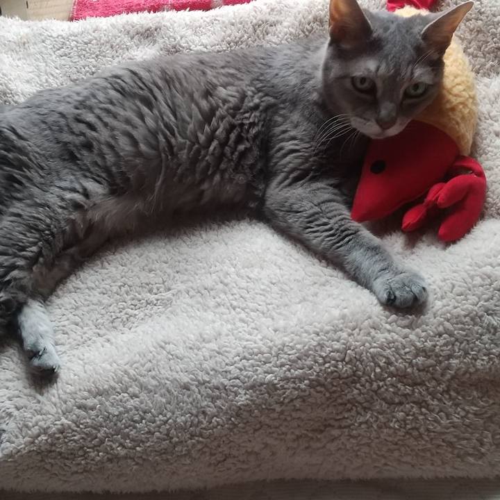 9171faca c1d8 40a7 8fd4 4cc212c2ec91 1696127523793