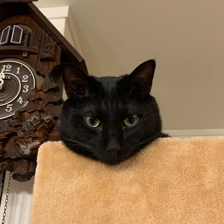 9172279f 11ea 4861 b64e 6ca85d75cf8c 1589900429293