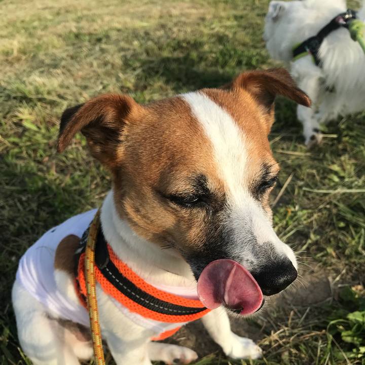 91722905 1855 4629 b845 ed0c717693b7 1526461563044