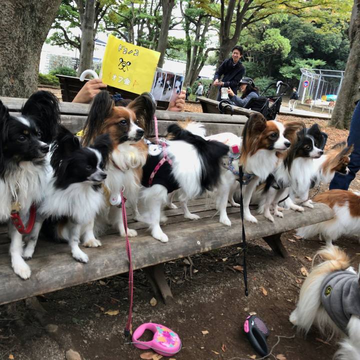 91723cb1 178c 47ba a4d6 4a2806a7c0eb 1509177956779