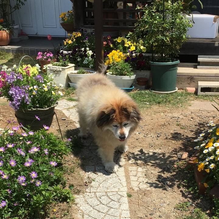 91730867 1b84 4695 a248 e066061f6dd3 1609115286526