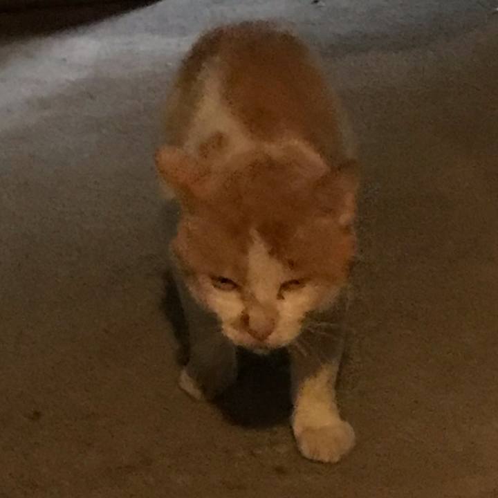91731163 3901 4f44 89c0 bd91daed4eda 1593689019369