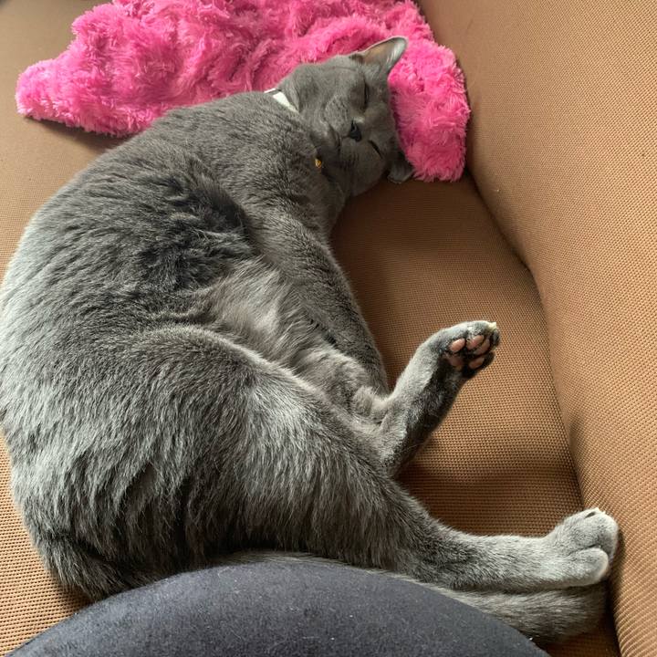 91732135 e18d 4dce bc90 746a0e63c2e4 1655358734284