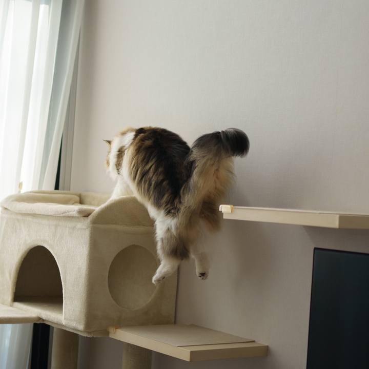 91734e81 0de6 4f14 9f1b 813b6b2421d5 1723427209778