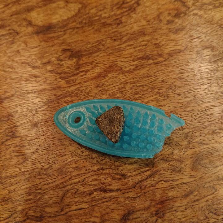 9173a293 85cd 4c0a 862c 337b1be72db4 1542707635469