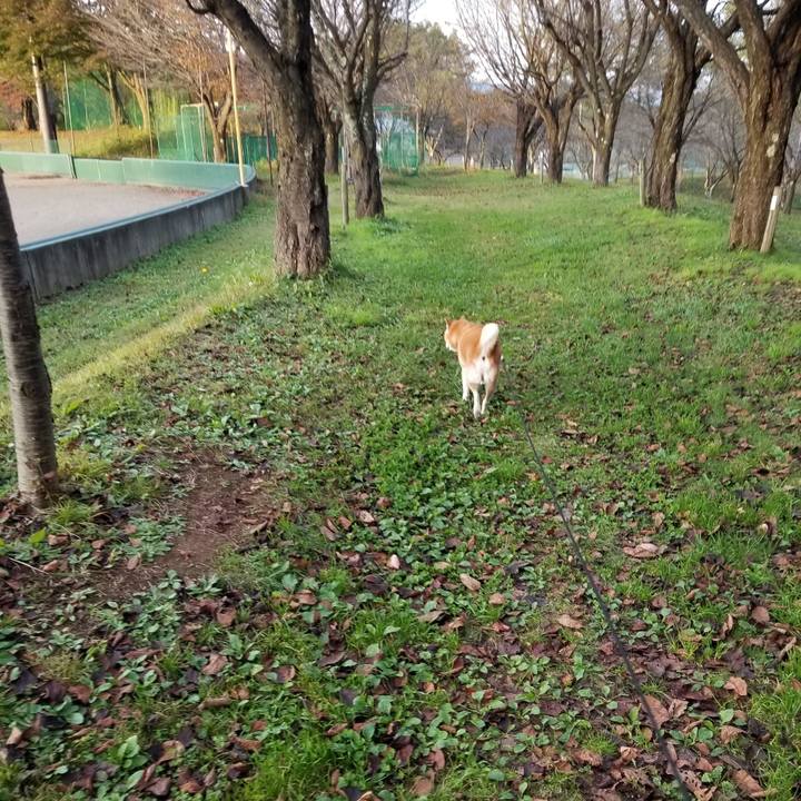 9174056f d201 4291 bdd0 81e474cffb68 1666682553132