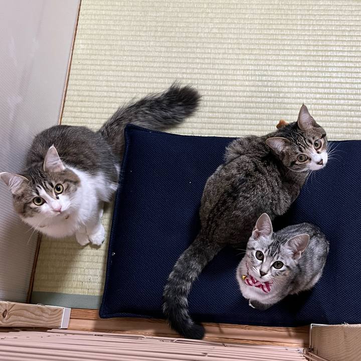 91743dc1 0a88 4608 89e1 5faa739a92c6 1701507452568