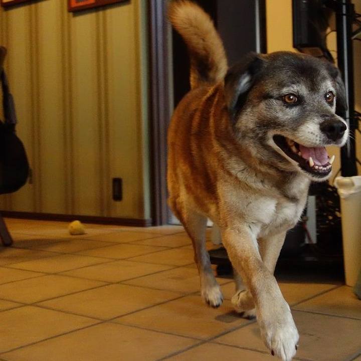 91745e90 b02e 4b52 afa1 b1b0ba1e27ec 1523068067113