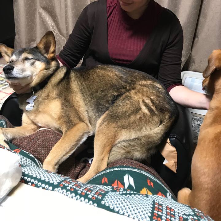 9174d72d a865 4624 8c1a 28ff63b387a3 1511962573852