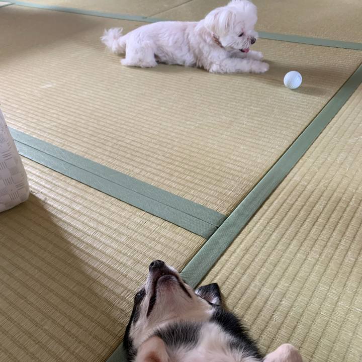 9175053e 50fd 4c36 999a 2b5c27d1ba67 1659176609607