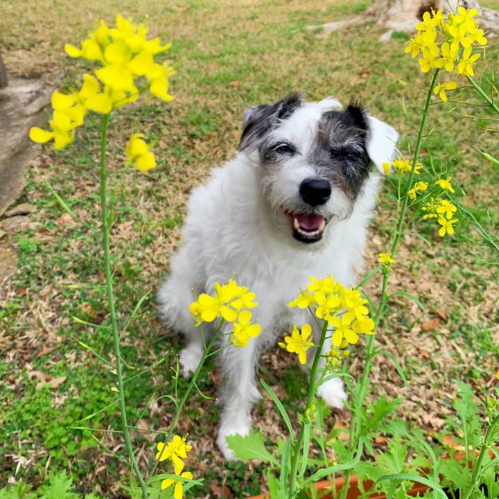 917558d4 0c3b 4b0b 93a7 215159079cb1 1614463539313