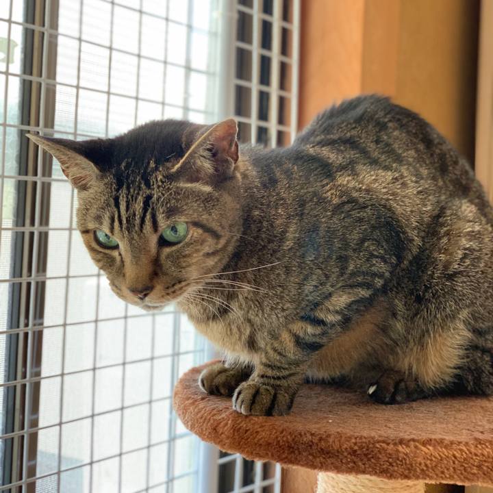 91755920 4ac1 4af5 b319 c63f7d08b100 1590626497409