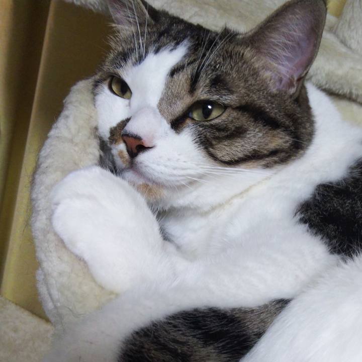 91755d7e 8d8f 4cde 97b2 dcfda8d3e252 1663823125225