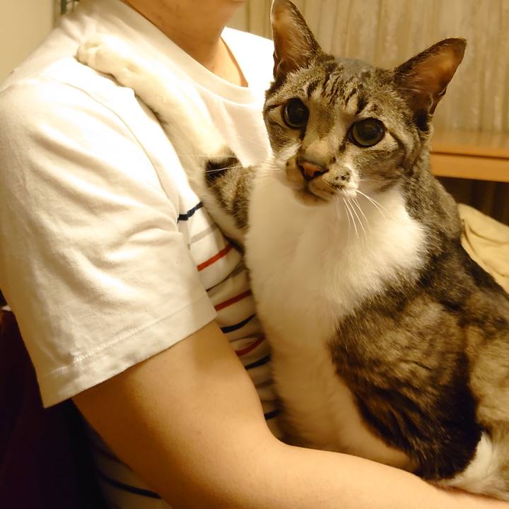 91759144 2e5d 48d0 a088 6771ddafc50b 1717758583971