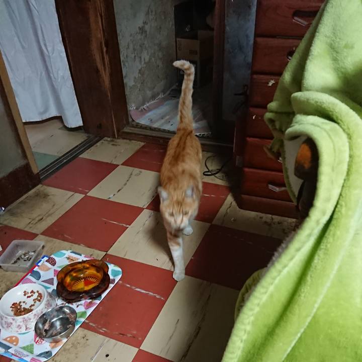 9175a989 6763 4a9f 9e98 4b55e621c576 1588237498910