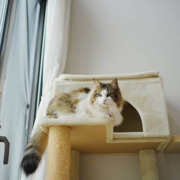 9175fd3f 7cc3 4de9 b149 b0a8857c809f 1720515199642