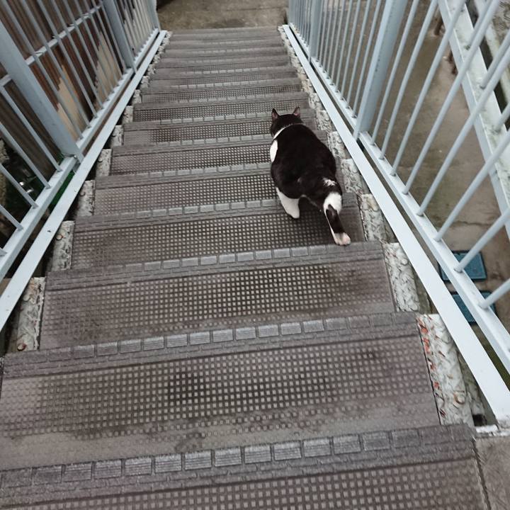 9176528d bc96 447b 8758 e00fd9485018 1631867176723