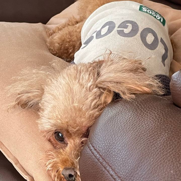 917678d4 221e 4b45 8c1a 7209a7fb5f27 1700871368861