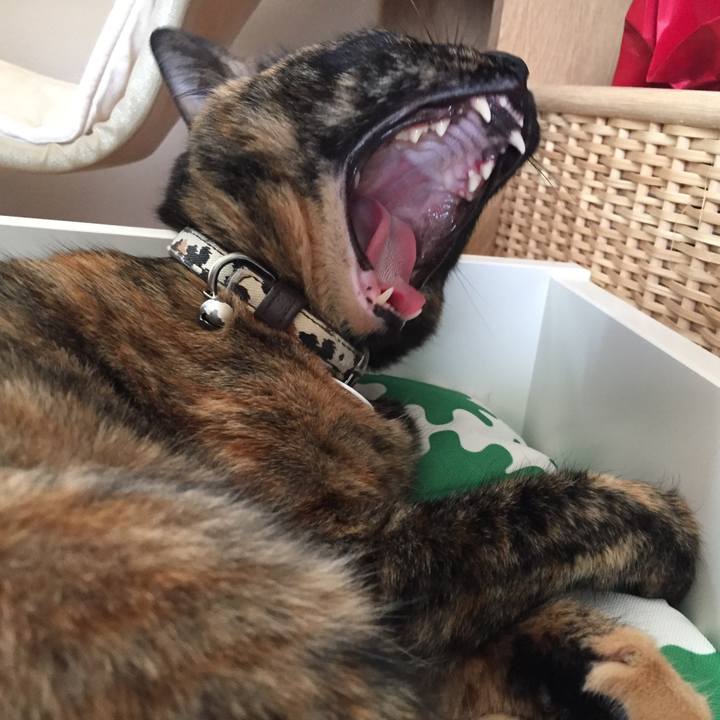 917686c8 d33e 4a6d 915c 5e379d8b93a4 1526005608681