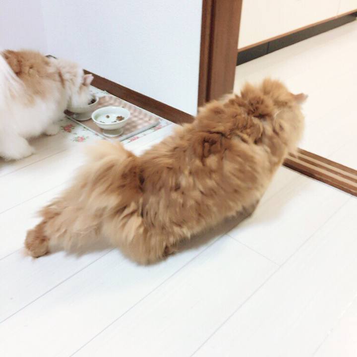 917688bc be61 4756 917e a39ab043316e 1512083726236