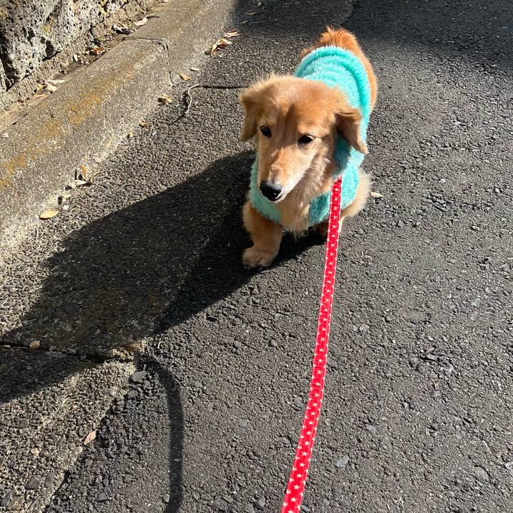 91769225 da5c 4786 8026 0128f680d4dd 1645186009332