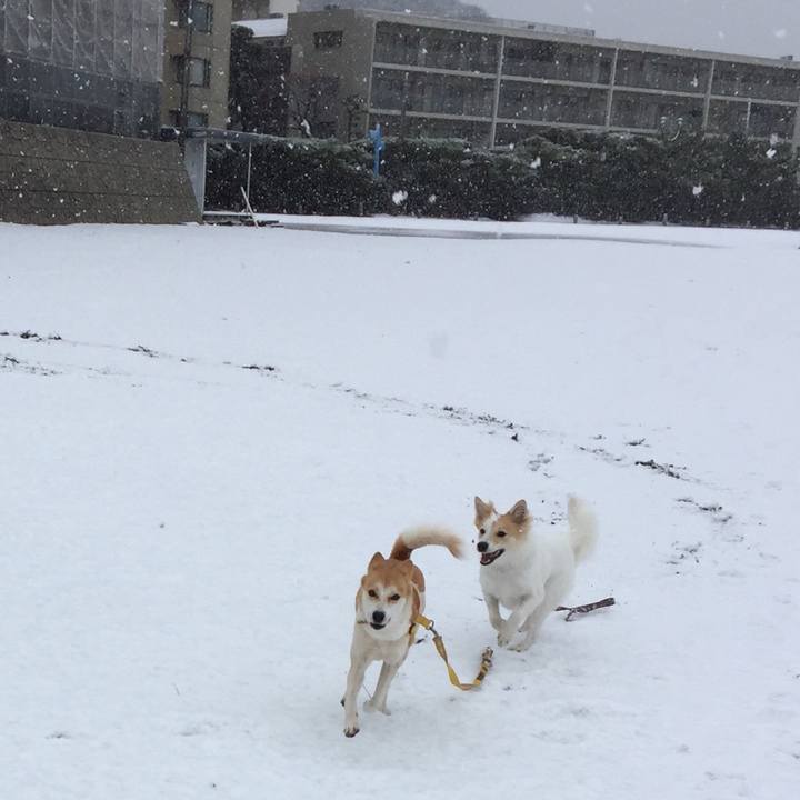 9176ab66 8c27 4dad 9f66 f1bd70c7c81b 1511871352722