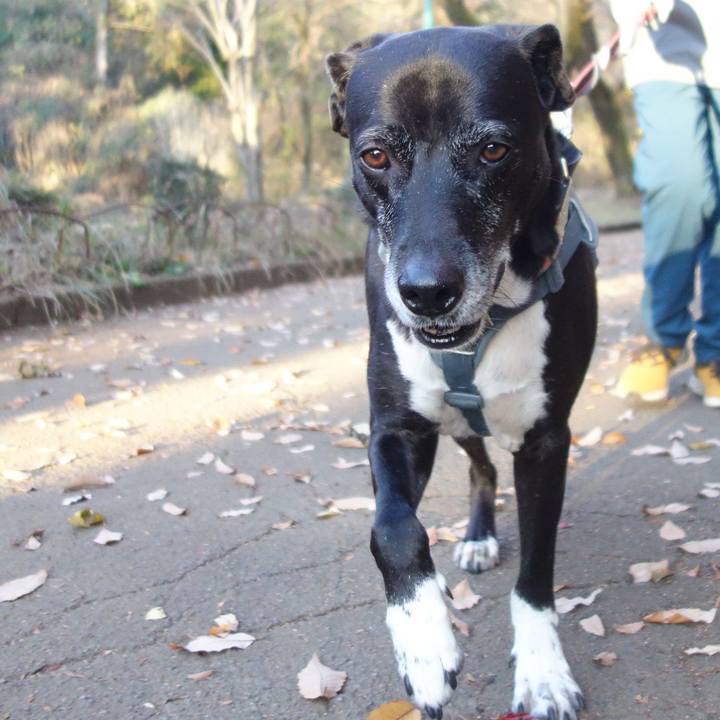 9176d3b4 ca03 4a14 8dda 74ba0fd5a5cb 1733960878184