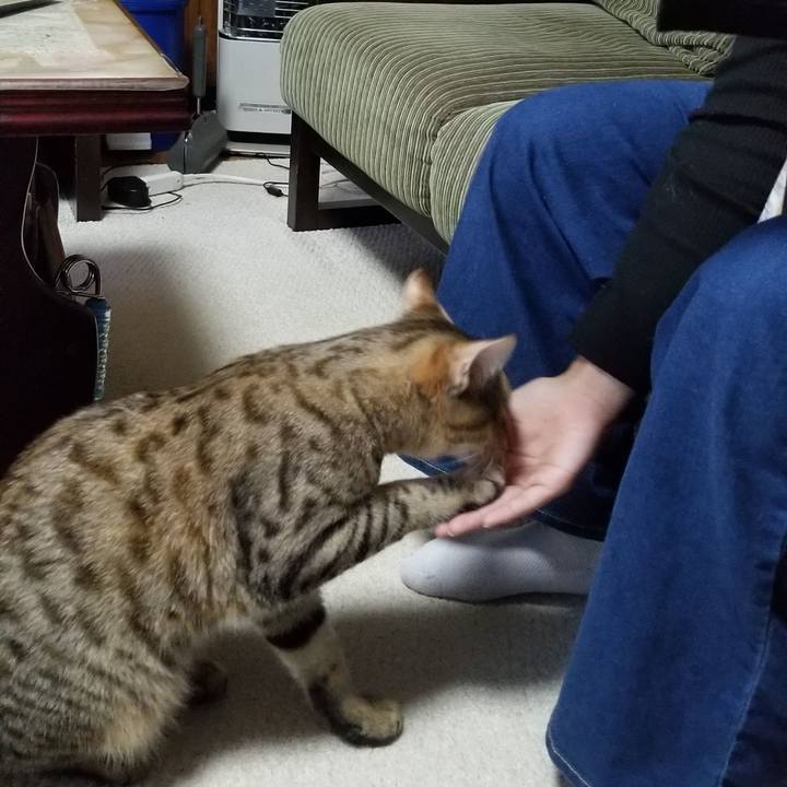 91770c64 b85a 46c1 a3c4 4d6b7181814f 1571729402138