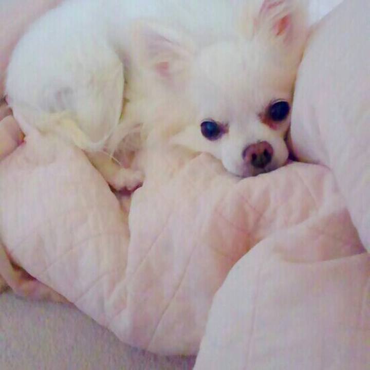 91771059 136a 4aec 8cbf 3e48b491ff82 1530018256117