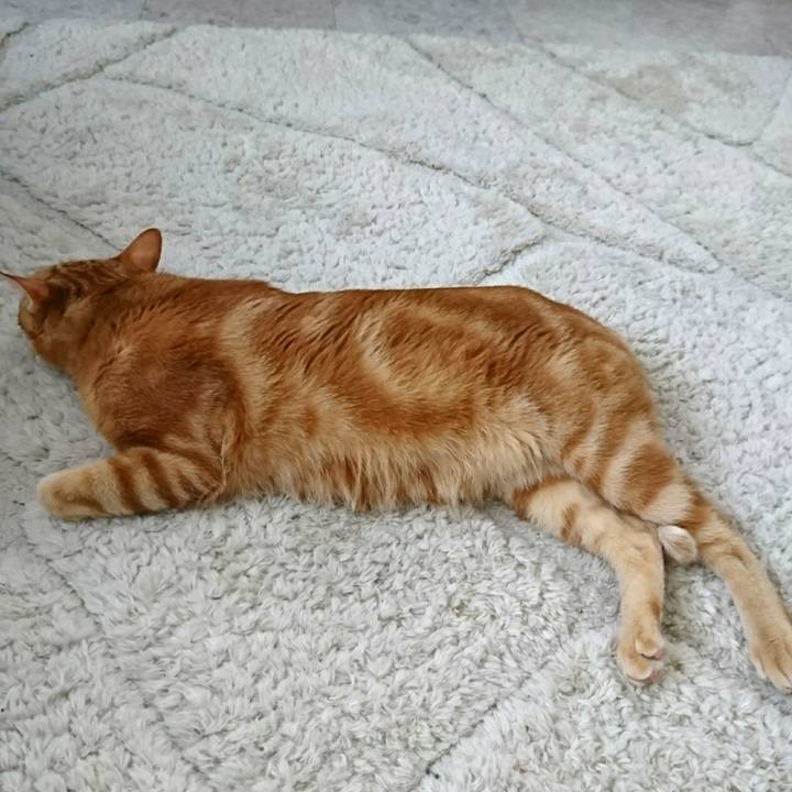 917722d8 2986 4aff 8773 cee5e8888dfc 1528067406858