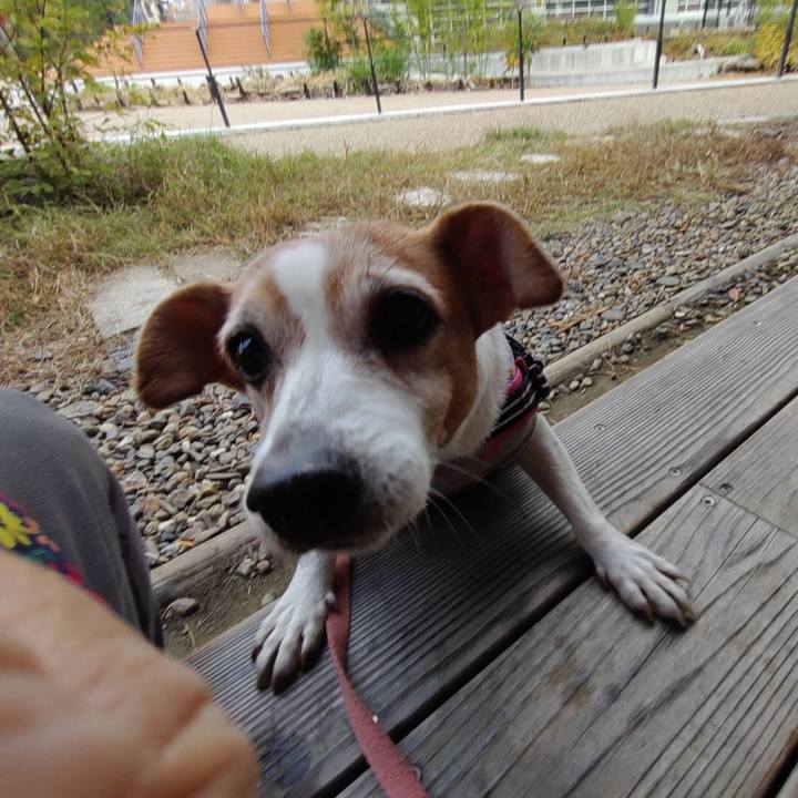 91774362 d163 4e17 ad14 726ed49d225c 1763339348992