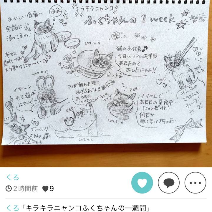 91775e70 a759 4d8a b57e 28adfeb9050d 1720014342109