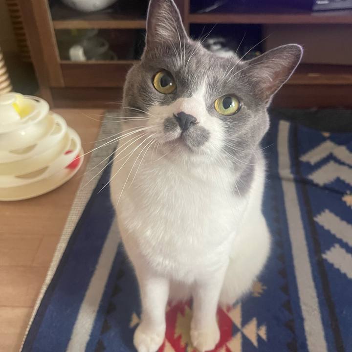 91776042 7267 4337 b420 38ce3931a07e 1689470852325