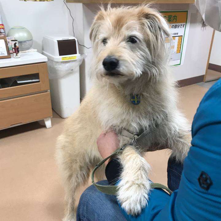 91778618 84db 498d 9c39 9495fe4b6c33 1618758883667