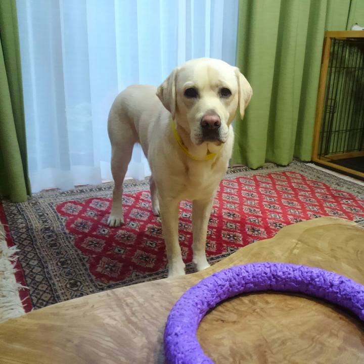 91778829 ad64 4cc2 8336 42082ae029aa 1512025873000