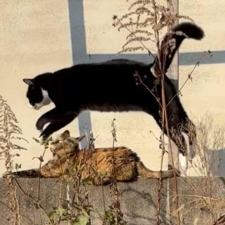 9177aa8a dcd7 4c69 813f 8e7947dfcff9 1773232659926