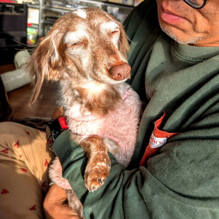 9177de65 006e 45a3 84d7 c8d72755cbe1 1766790434502