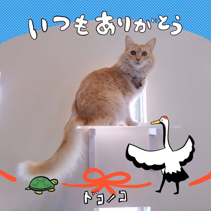 91782d5b aaa3 4d18 8d40 1baf3b70e95e 1726884162387