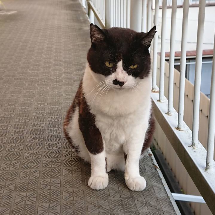 91783a7f e1e3 437c 85dd 14626ac7c0bf 1656451900104