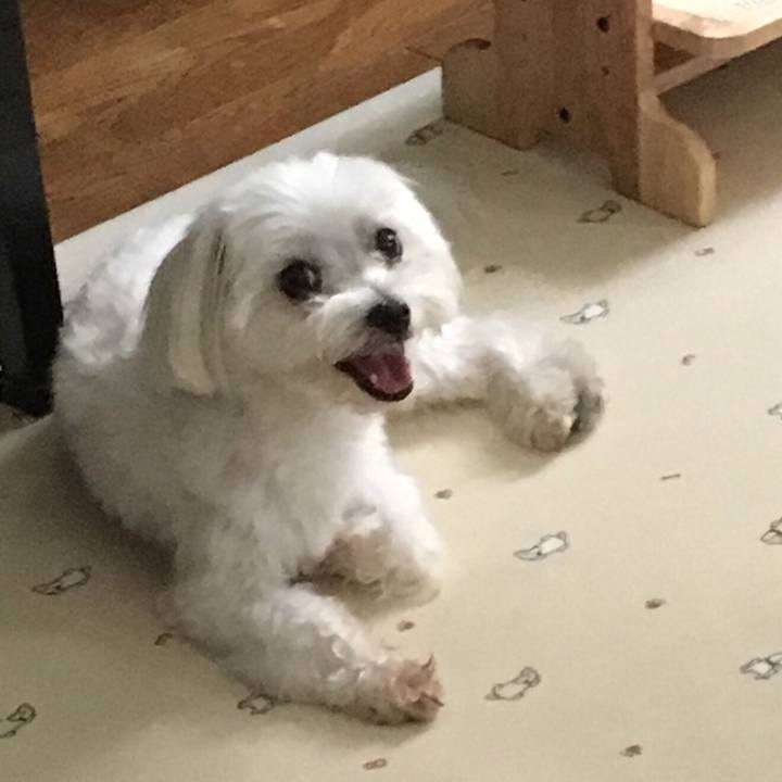 91784b50 cfe3 4fc1 bb42 8dcecfc68fc7 1534388543279