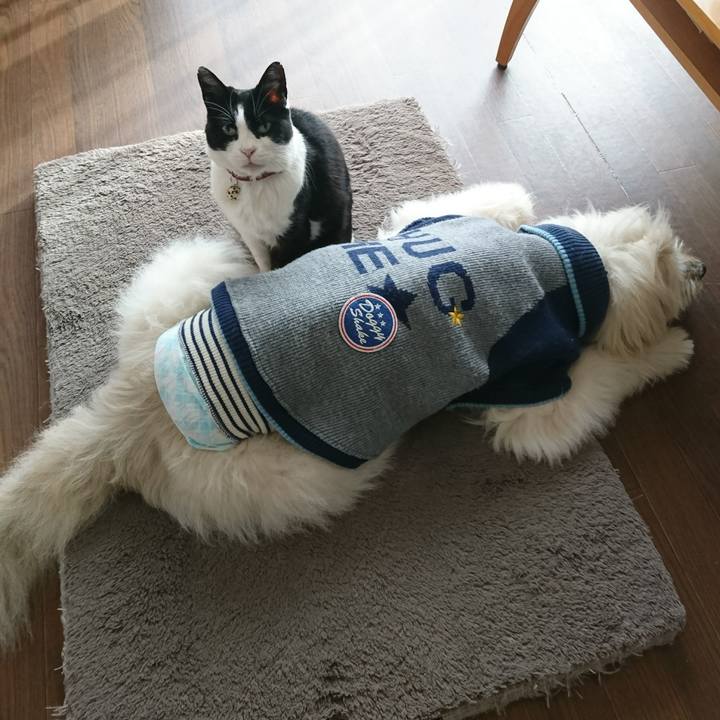 91788cde be26 40a5 bbf7 3f25ac4c0692 1608789262975