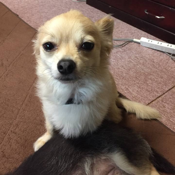 91789acc a903 4070 9b9c 836dab1f3521 1527458701482