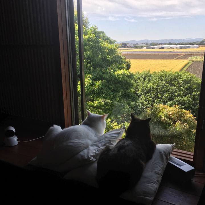 9178c9df 1c9e 4cc4 9dea a188549dd327 1558492731898