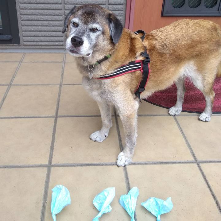 9178d11c 04c1 4418 9100 f667bf54be4f 1568333210486